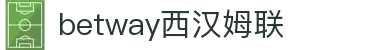 BETWAY·必威(西汉姆联)官方网站-West Ham United